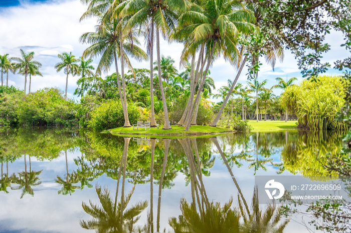 Beautiful park with tropical nature and palms