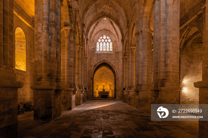 The nave of the Frontfroide Abbey, France