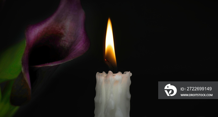 Burning candle and purple Calla lily sepals in the darkness