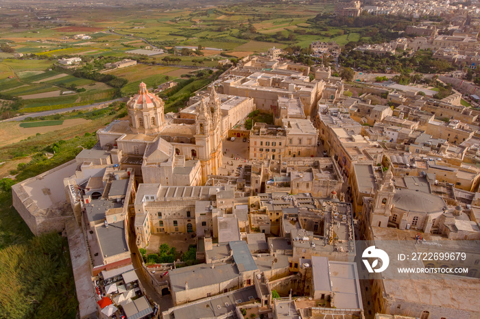 Old castle Mdina cathedral city, Malta. Aerial top view