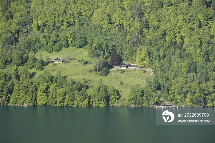 Rütliwiese am Vierwaldstättersee, Kanton Uri, Gründungsort der Eidgenossenschaft, Schweiz