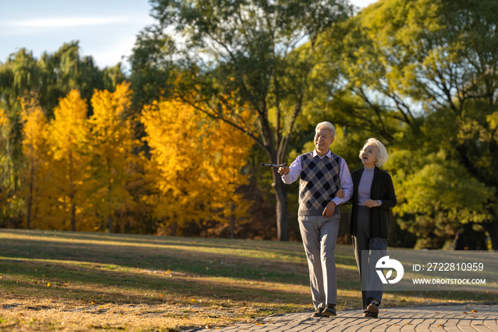 时尚的老年夫妇在公园里散步