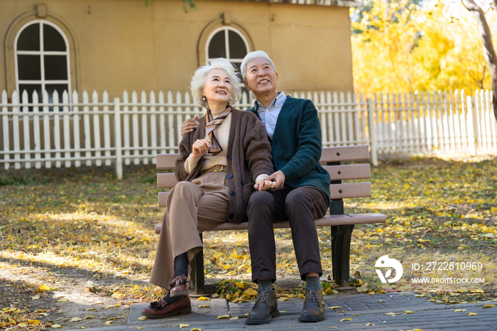 幸福的老年夫妇坐在长椅上