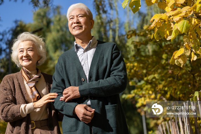 户外幸福的老年夫妇散步