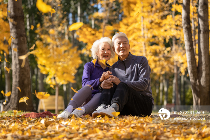 户外老年夫妇坐在落叶上