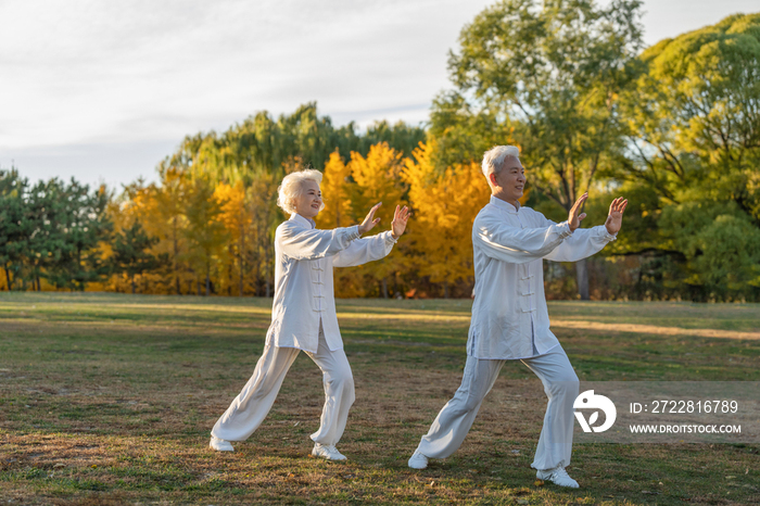 老年夫妇正在练太极拳