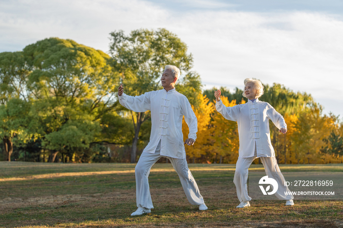 老年夫妇正在练太极拳