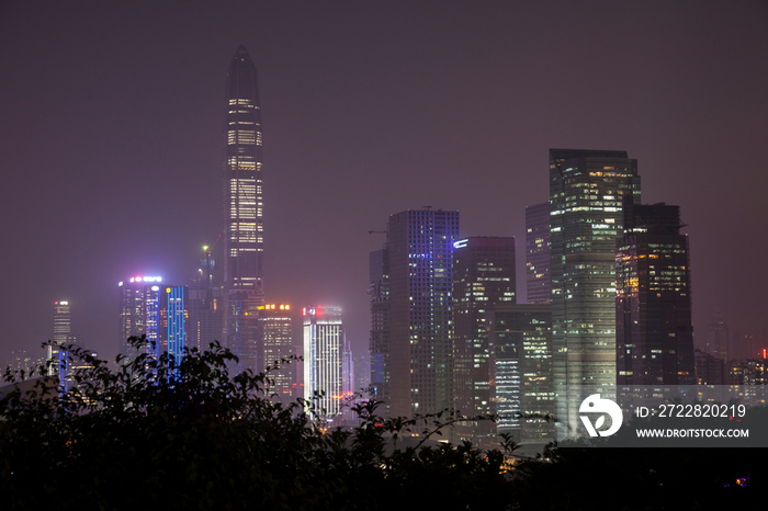 广东省深圳莲花山夜景