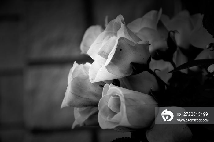 Flowers in a cemetery