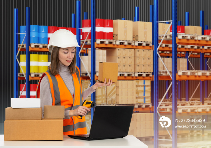 Woman in fulfillment center. Girl with laptop in warehouse. Warehouse fulfillment worker looks into 