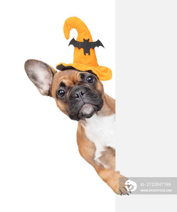 French Bulldog puppy wearing hat for halloween looks from behind empty white banner. Isolated on whi