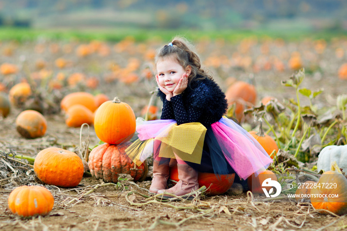 Adorable little kid girl having fun on pumpkin patch farm. Traditional family festival with children