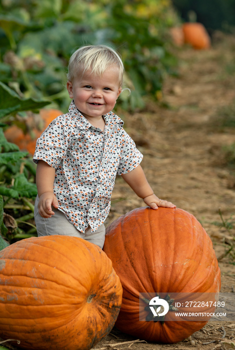 Toddler in Pumpkin Patch