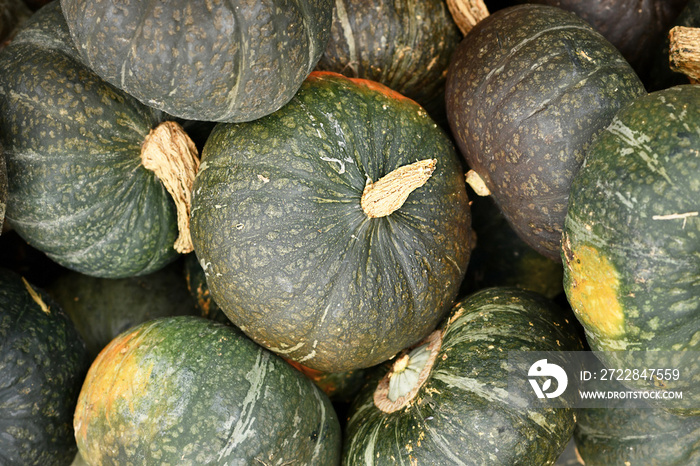 Pile of green Kuri Hokkaido squashes