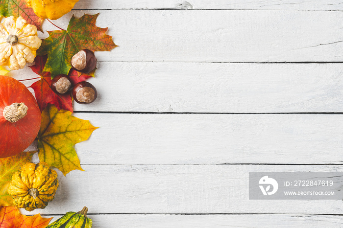 Colourful maple leaves and pumpkins on white wooden background with copyspace. Autumn concept