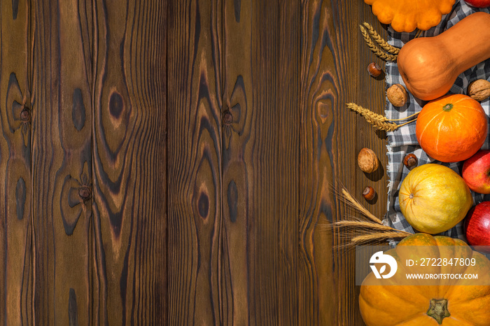 Thanksgiving day pumpkin harvest on a wooden background with empty copy space. Squash, orange vegeta