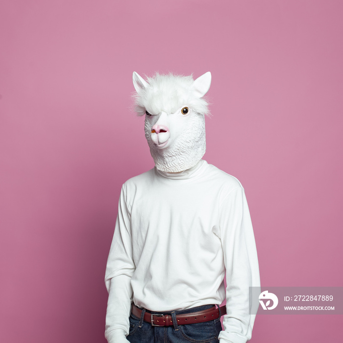 Portrait of Llama person on pink background