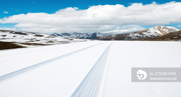 被雪覆盖的公路