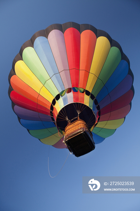 Hot Air Balloon In Flight