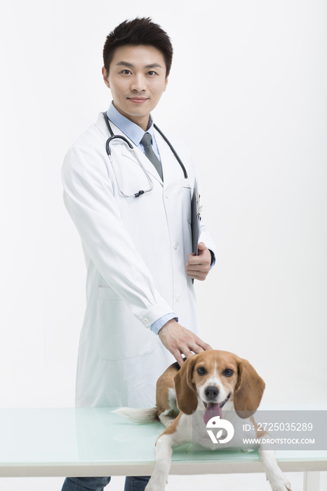 宠物医生给狗做检查