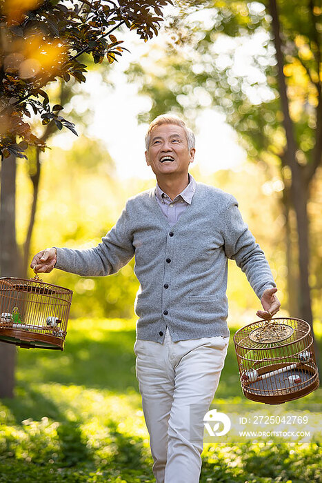 快乐的老年人在公园遛鸟