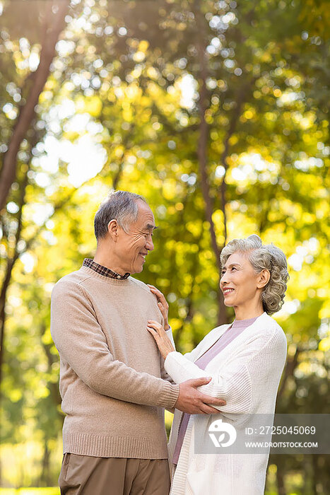 甜蜜的老年夫妇