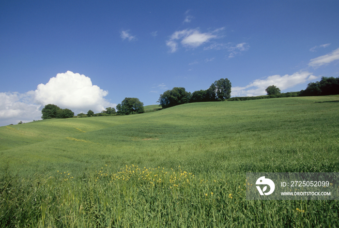 Italy, Tuscany, Orcia Valley, landscape 