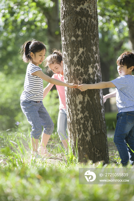 儿童在树林里嬉戏玩耍
