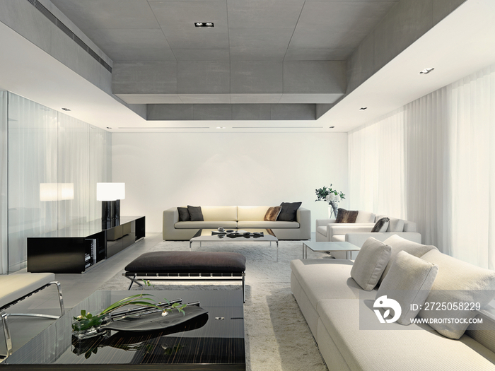 Sofas and coffee table in modern living room