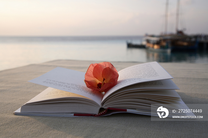 Book on the beach in Maldives