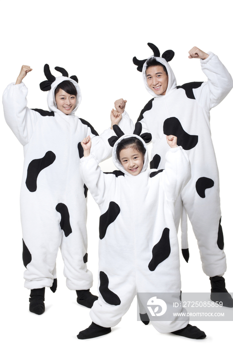 创意奶牛家庭