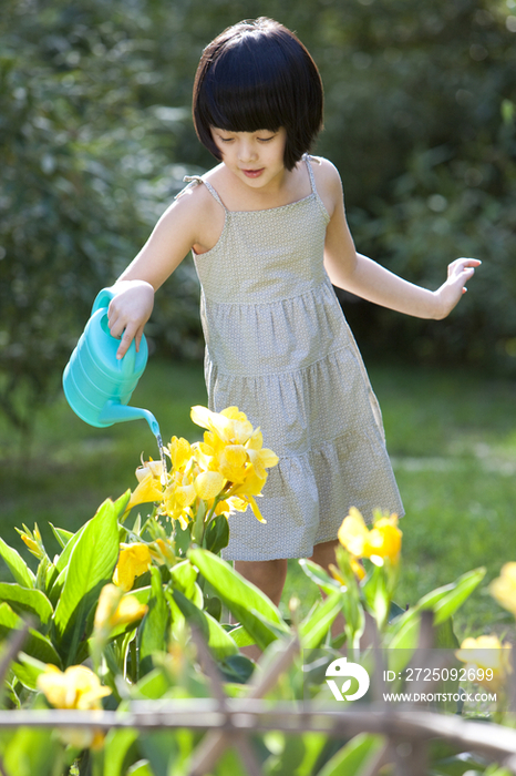 小女孩在花园浇花