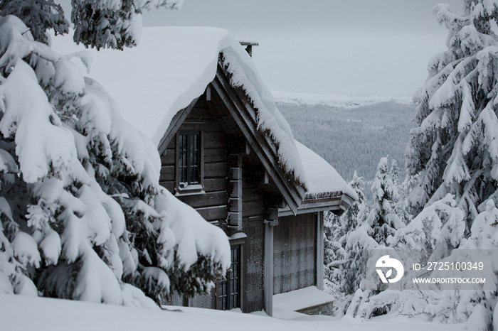 house on the mountains in the woods on a hill with a thick layer of snow on it, where there is a lot