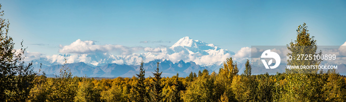 Panoramic view of Denali mountain peak at summer in Alaska