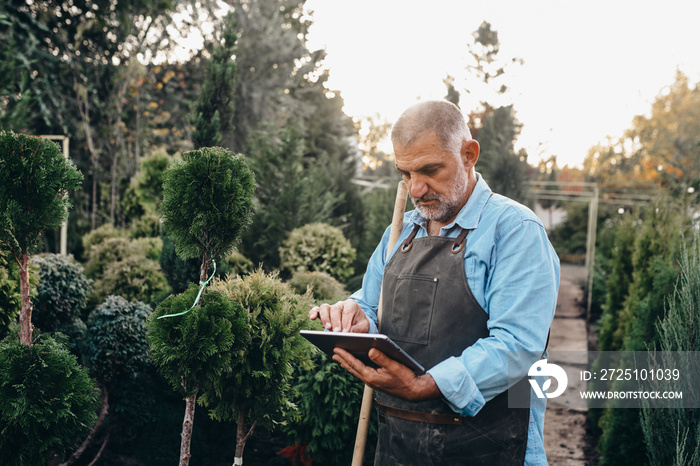 gardener using digital tablet in evergreen nursery