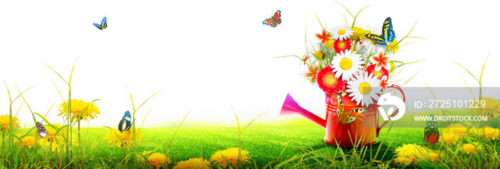 五颜六色的野花和蝴蝶一起放在喷壶里。