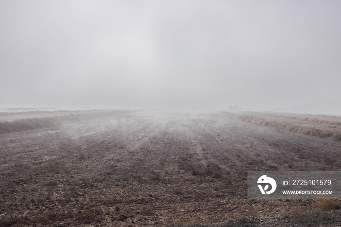 Champ cultivé dans la brume