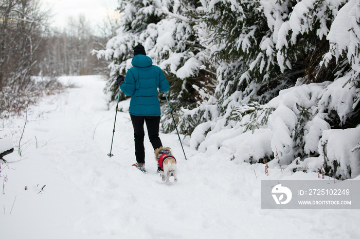 Snowshoeing - Raquettes