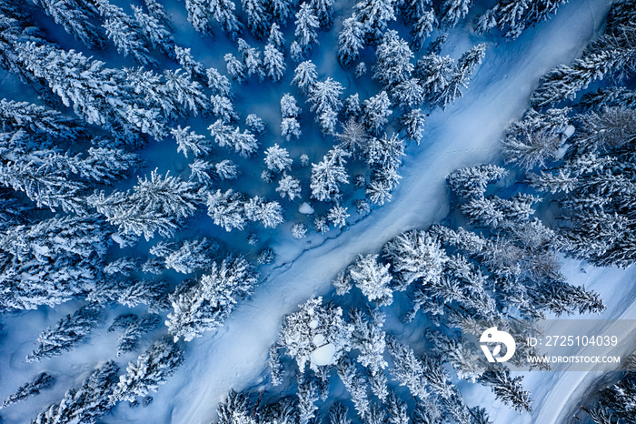 Aerial. Trees and snow in a winter forest. Nature background top view.