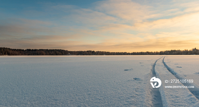 Nordic ski tracks