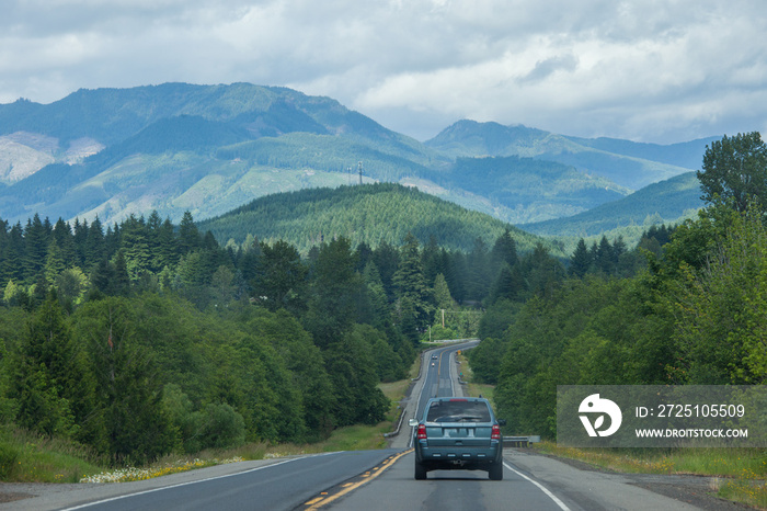 Road in Washington state forest