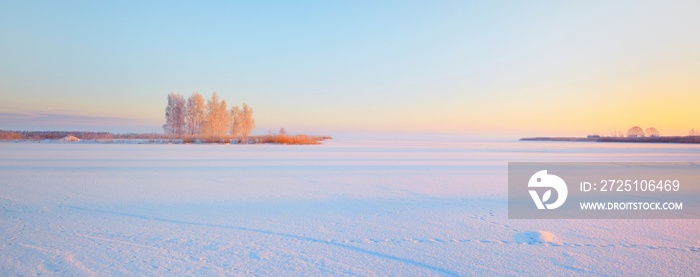 日落时，芬兰白雪皑皑的冰冻湖泊全景。岛上有桦树