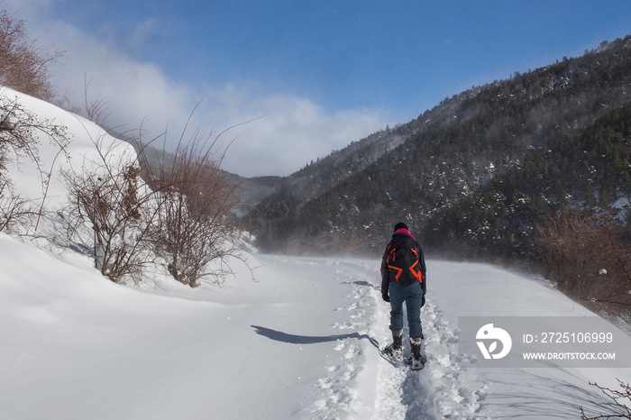 Woman climbing to the refuge of  Comes de Rubió  in winter with snow raquets.