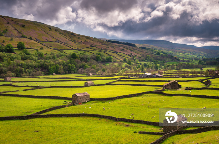 Field Barns at Gunnerside / Swaledale in Yorkshire Dales National Park winds into the northern Penni