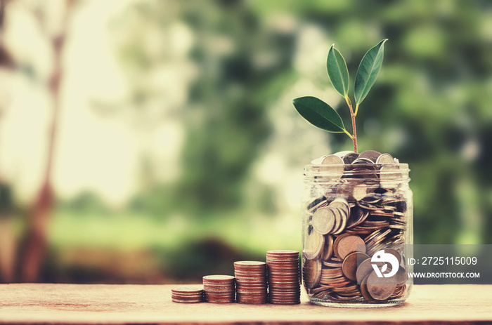 概念增长货币和硬币上的树玻璃罐储蓄和投资