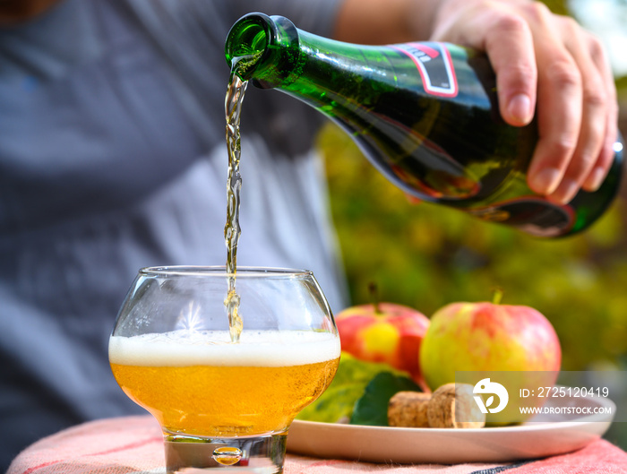 在户外果园品尝由新收获的苹果制成的法国苹果酒