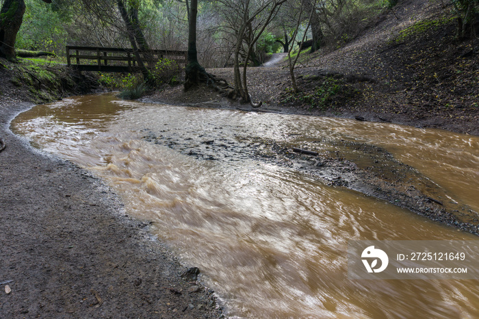 Muddy creek after storm and heavy rain, Rancho San Antonio county park, south San Francisco bay, Cal