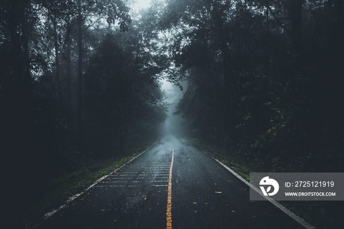 雨季通往森林的道路