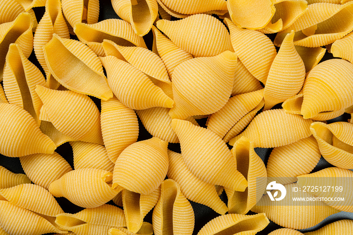 Detail of Conchiglione. Hard-grain semolina noodles. Ready for cooking.