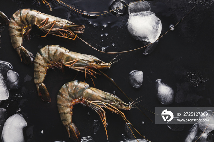 Raw shrimps with ice cubes on black background